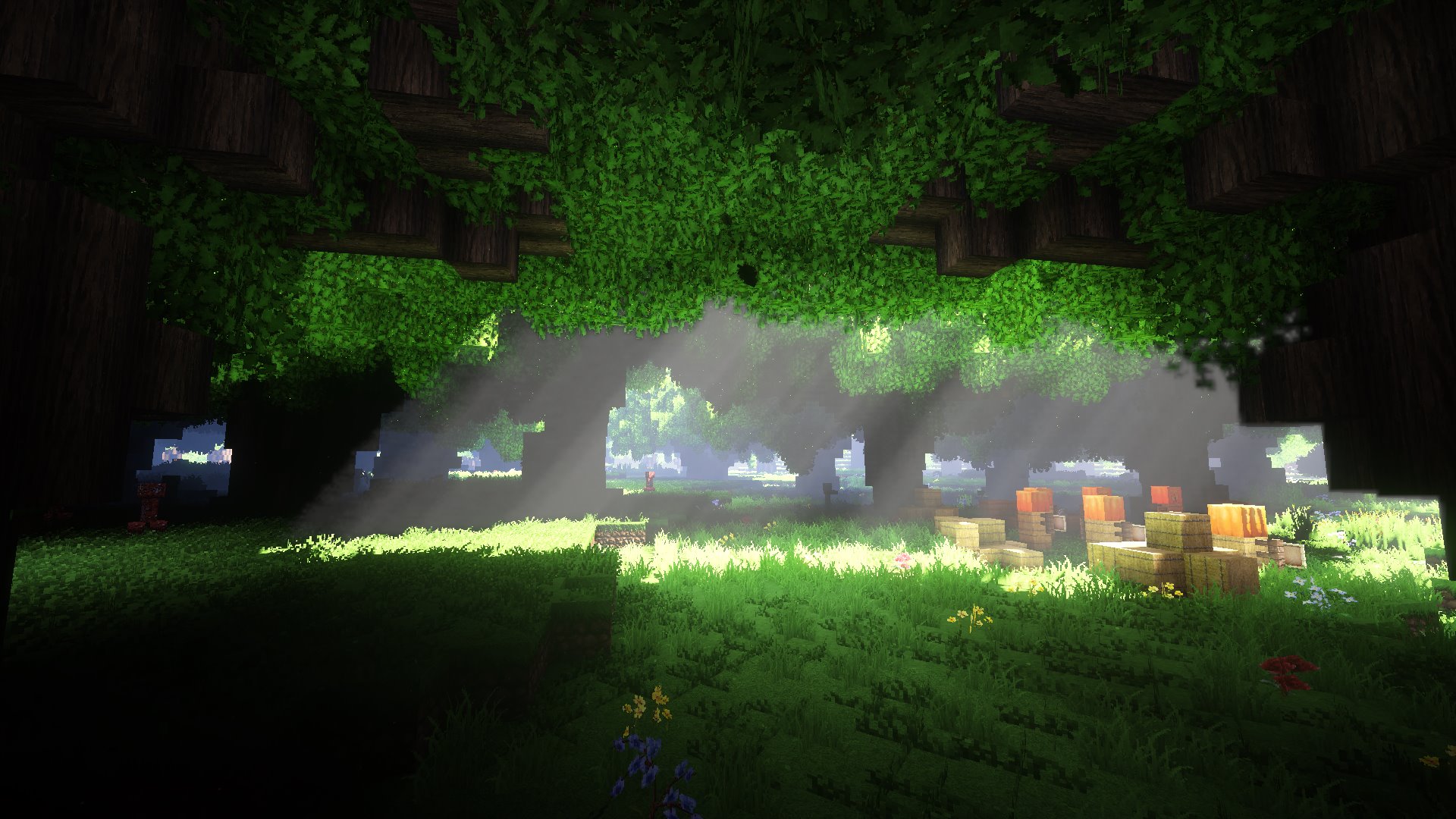 continuum 1 12 1 16 je minecraft 